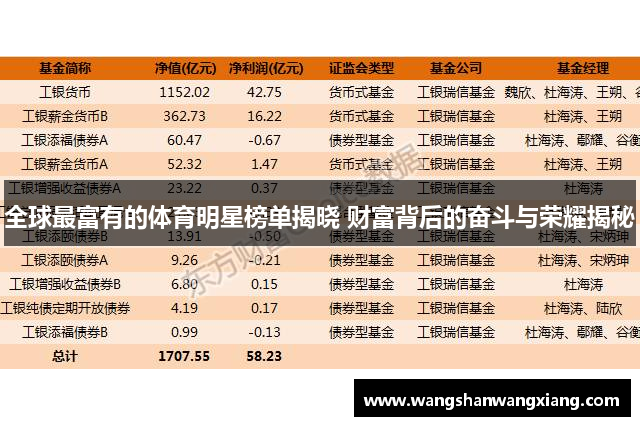 全球最富有的体育明星榜单揭晓 财富背后的奋斗与荣耀揭秘